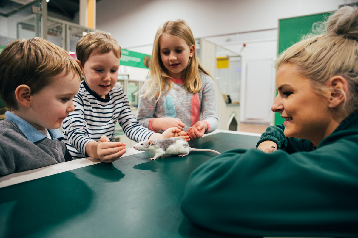 Newark & Sherwood News Journal Free Pets At Home woodlandthemed